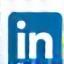 Icona LinkedIn